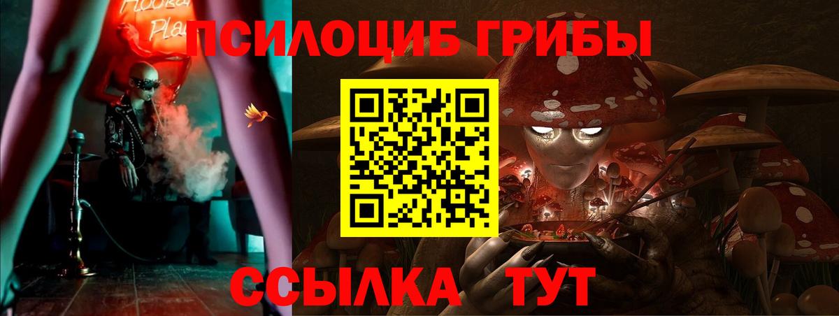 Галлюциногенные грибы Cubensis Северск