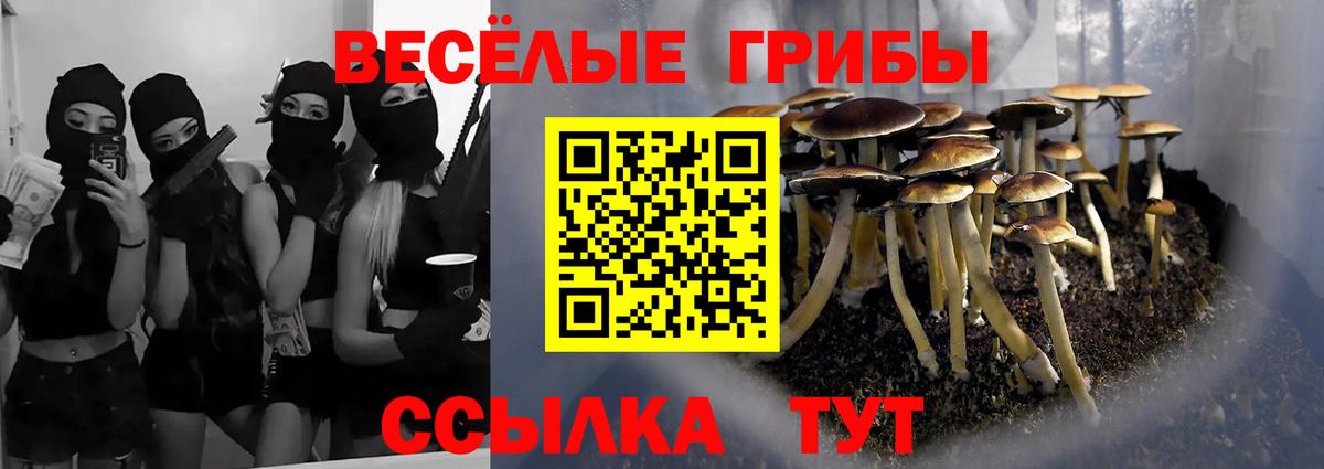 Псилоцибиновые грибы мицелий  Галлюциногенные грибы мицелий  Северск  Вход с VPN 