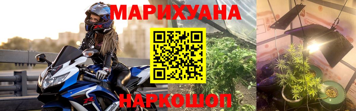 Марихуана сатива  Канабис планчик  Вход с VPN  Северск 